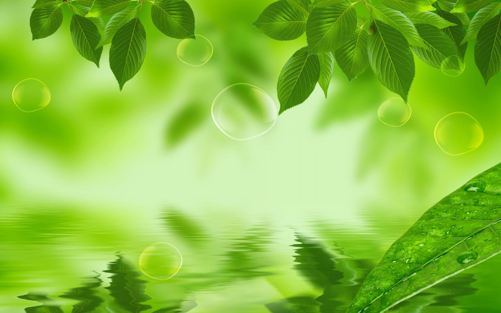 Desktop wallpaper green nature