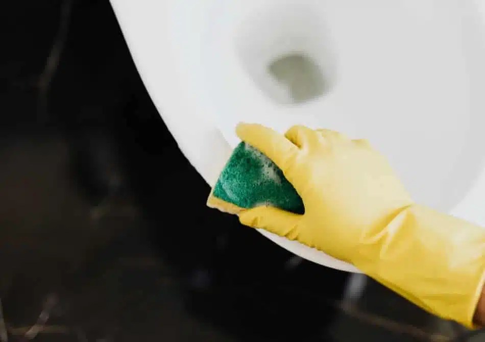 App for deep cleaning near me- cleanster.com