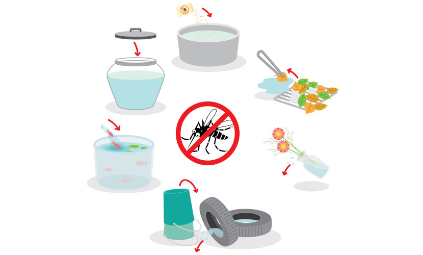 Juntos Contra os Mosquitos: Um Guia de Prevenção contra a Dengue, Zika e Chikungunya