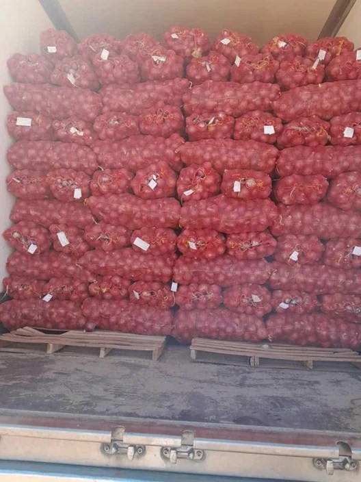 export6