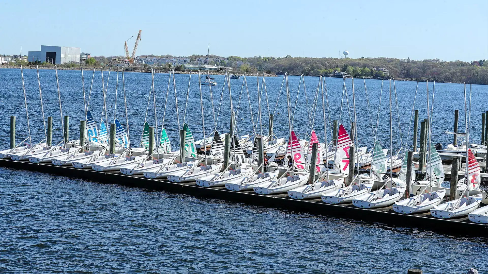 Four Brown University Sailors Earn NEISA Open Sailors of the Week Honors