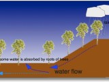 How Floods Occur Clearlyexplained