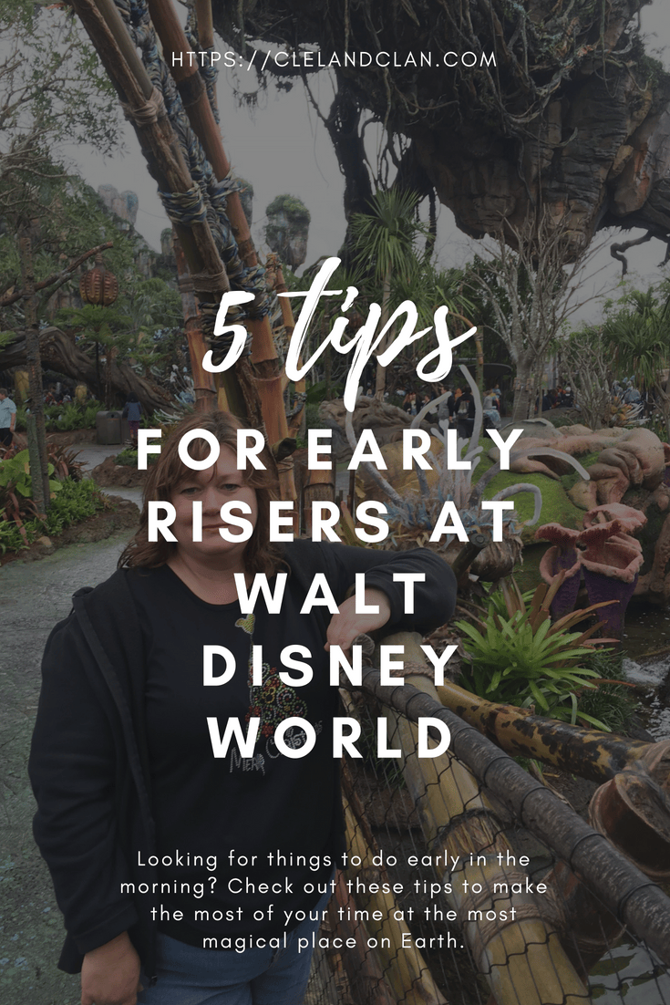 Early Risers: Making the Most of Your Time at Walt Disney World - The ...
