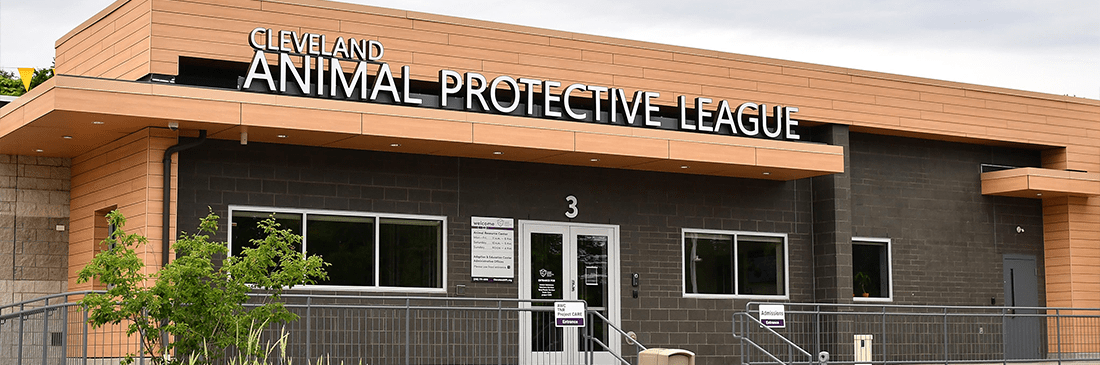 Community pet clinic