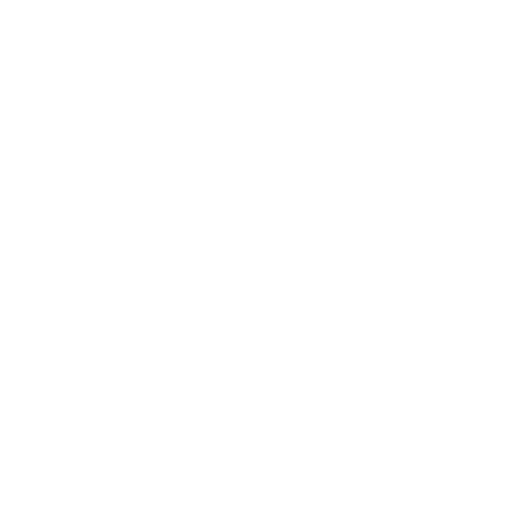 Clever Aesthetics Design Logo