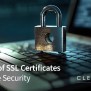 The Role Of SSL Certificates In Website Security - CleverLight