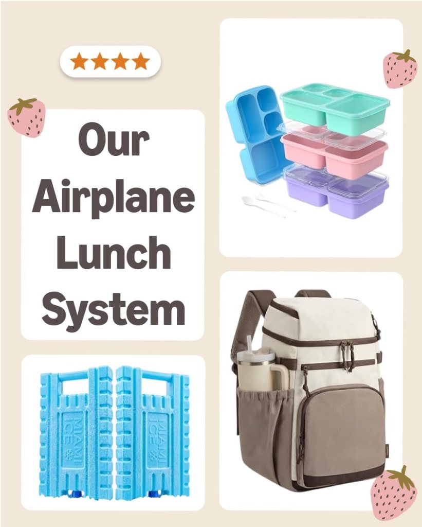 Our Airplane Lunch System Product Essentials.
