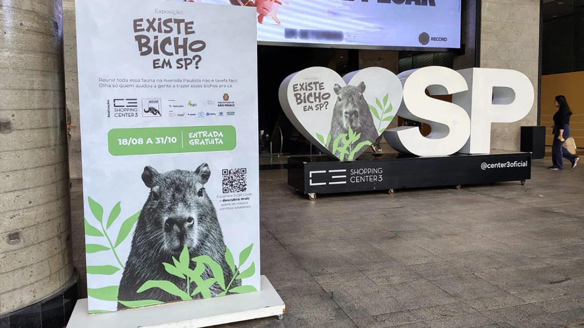 Exposição da fauna brasiliera na Av: Paulista