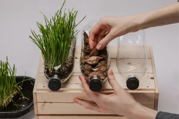 Reaproveitando garrafas PET para criar hortas criativas em espaços pequenos