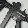 ARP9b_cs2