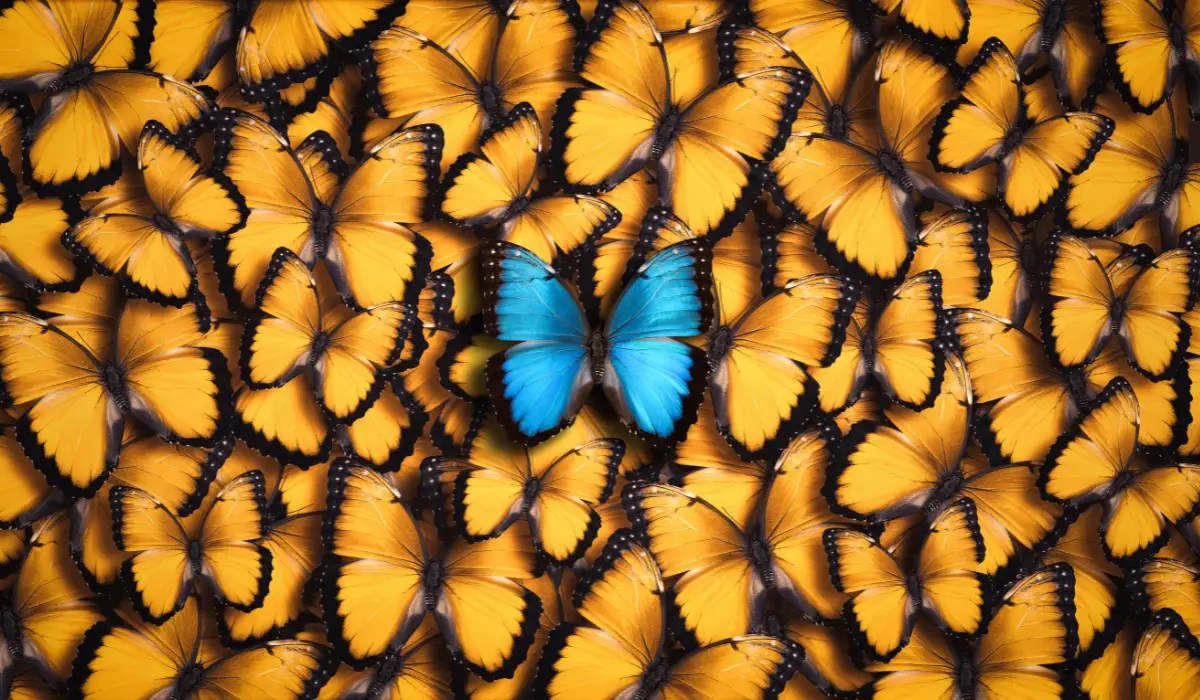 is personal branding outdated?