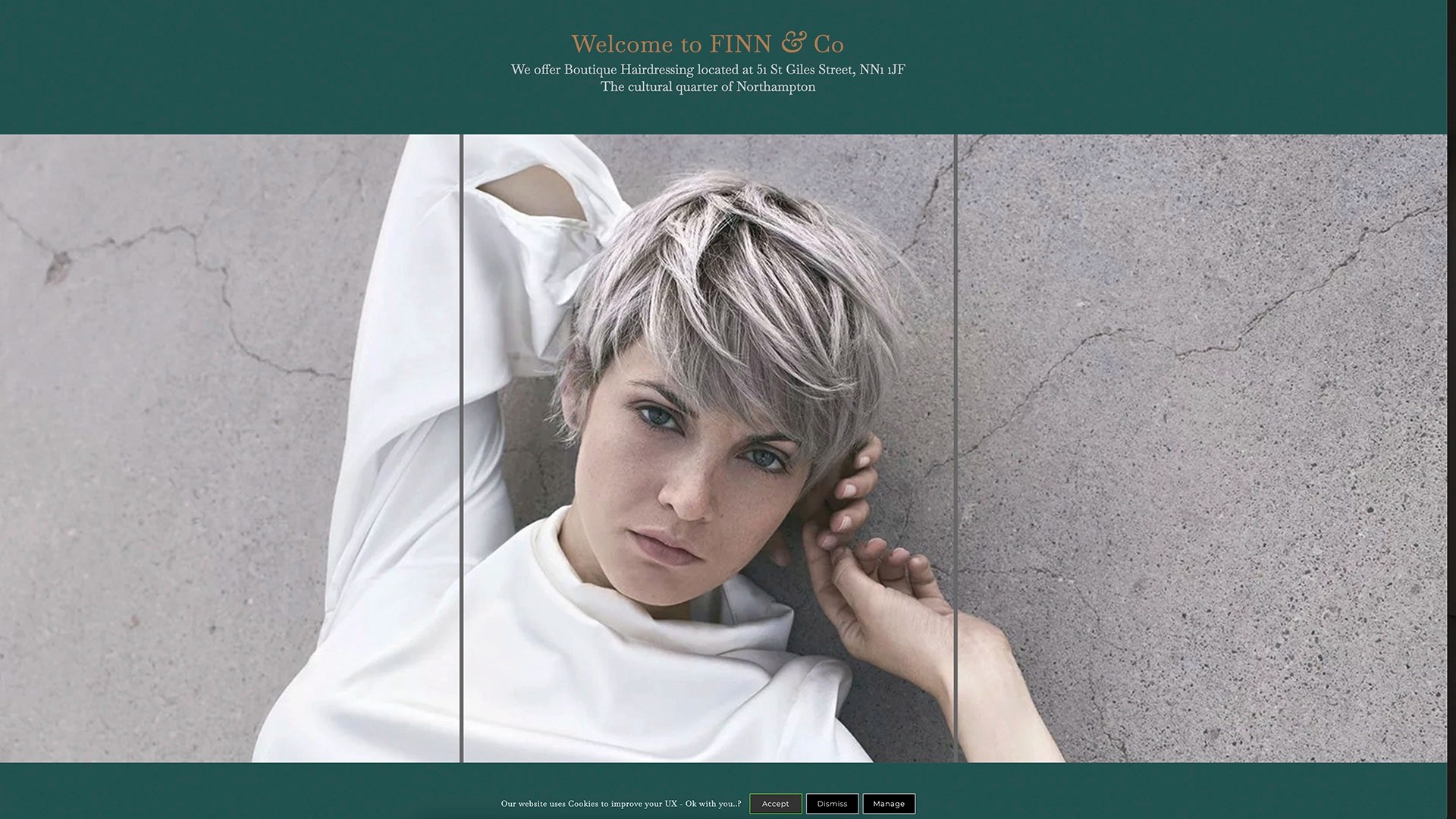 FINN & CO website design and development from ClientWave Creative