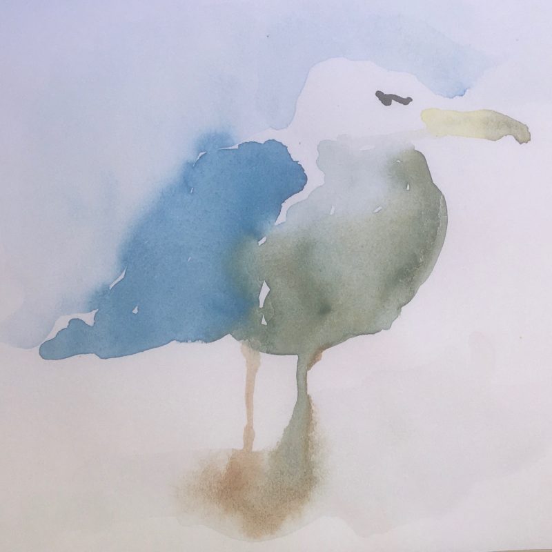 Image of a Gull