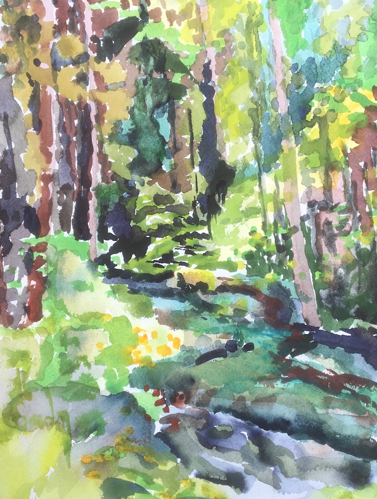 View of the birch creek in the catskills