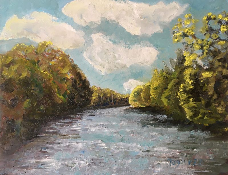 Image of the intracoastal waterway in South Florida