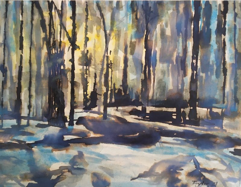 Impression of a Forest Road