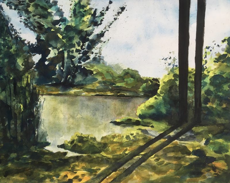 Image of Two Trees in the Florica Sun