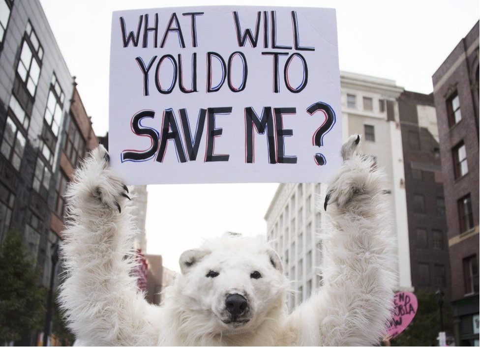 Former WMO Official: CO2 Has Almost 'Nothing To Do With Climate Change' - Vimarsana News
