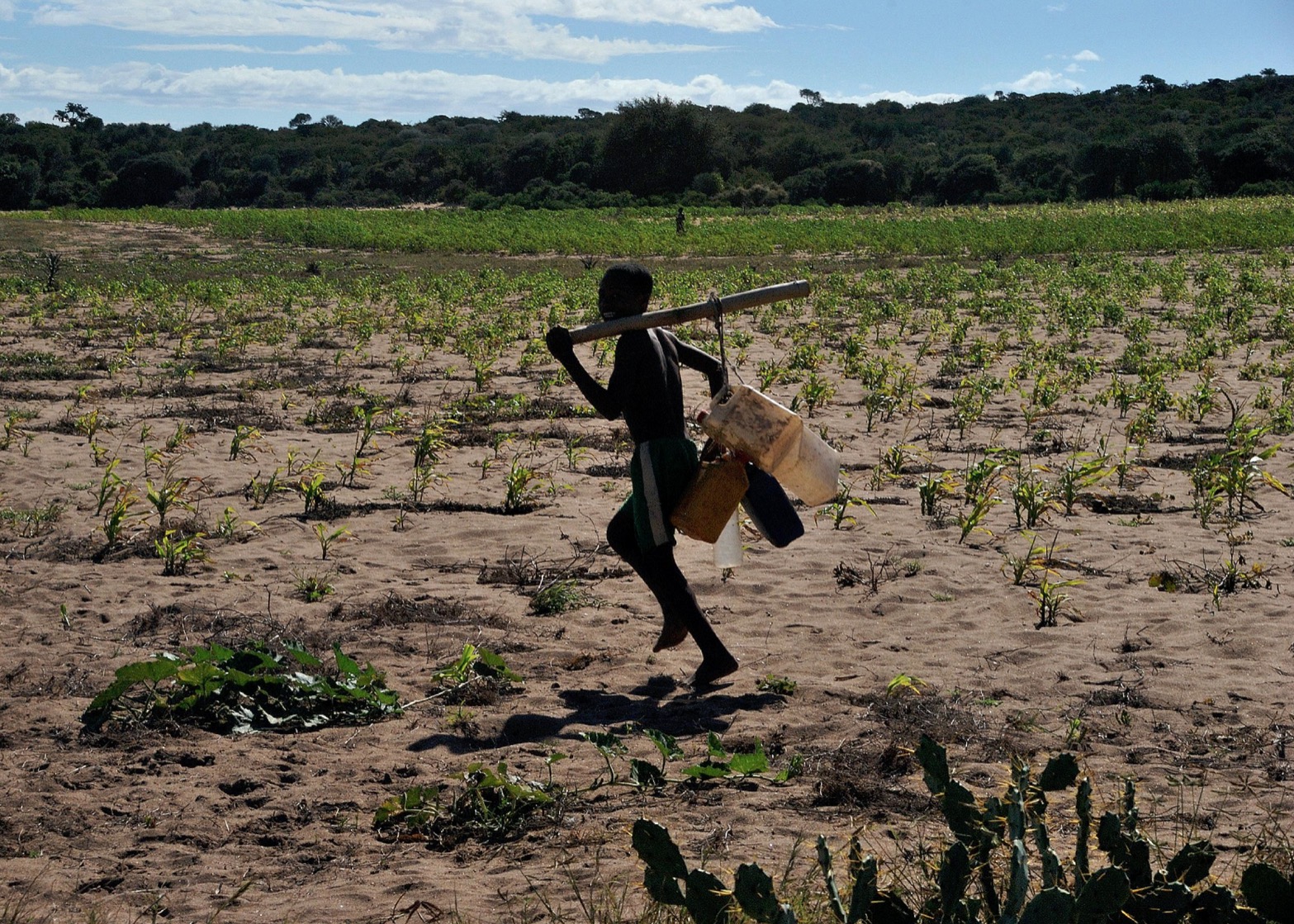 madagascar drought