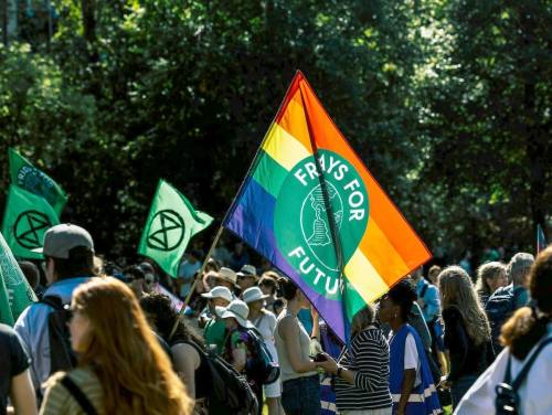 fridays for future protest