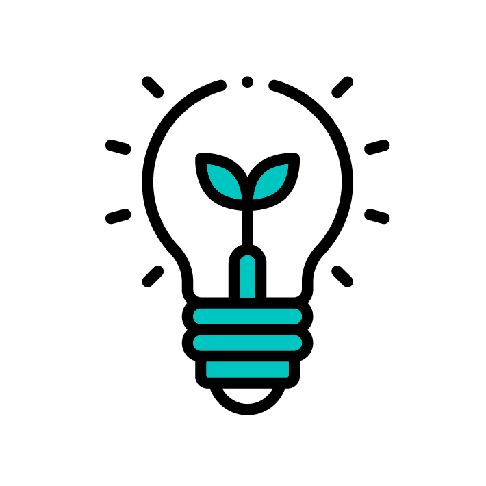 IDEA