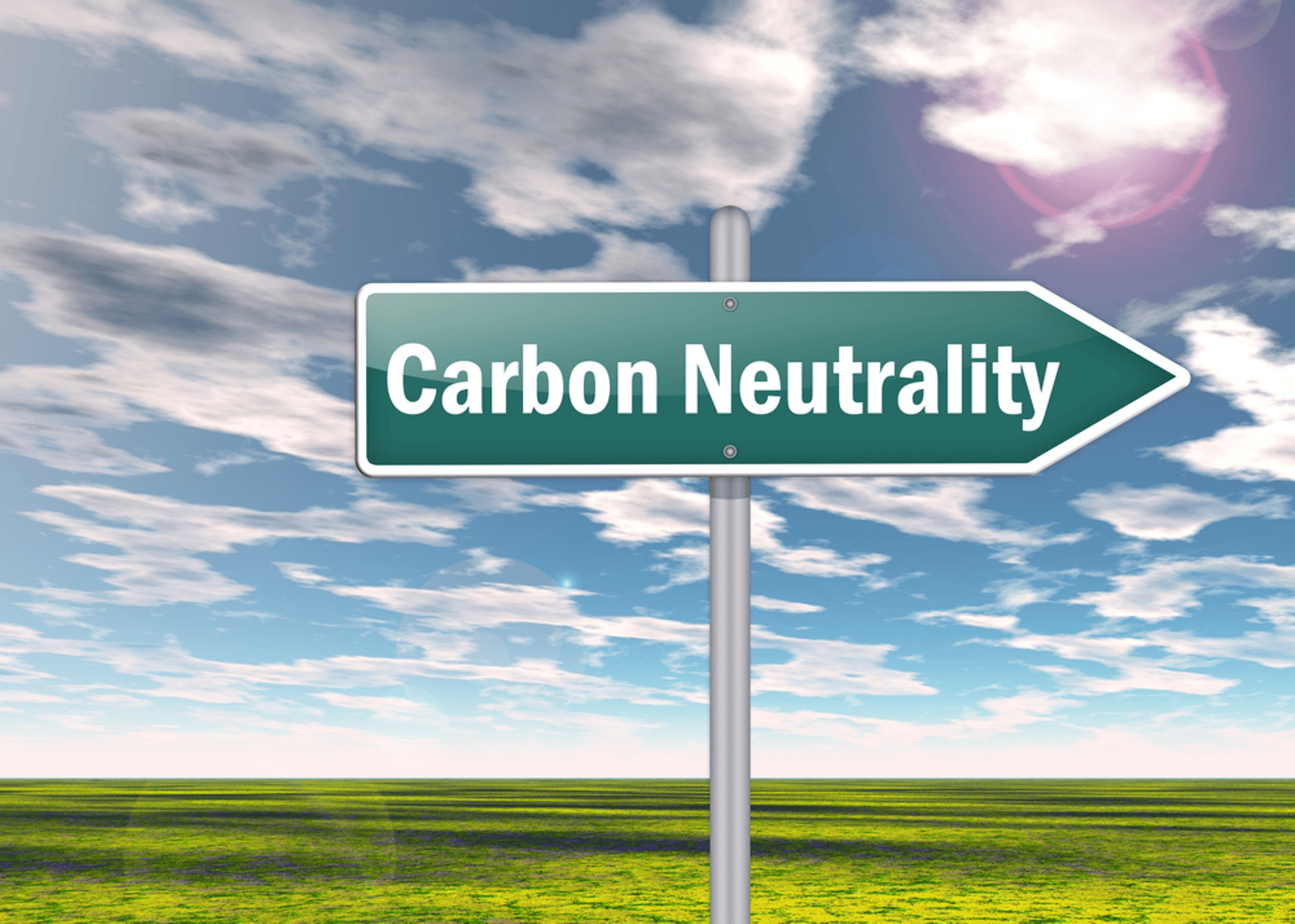 Cut motorway speed limit to 64mph to drive net zero goals, No 10 told