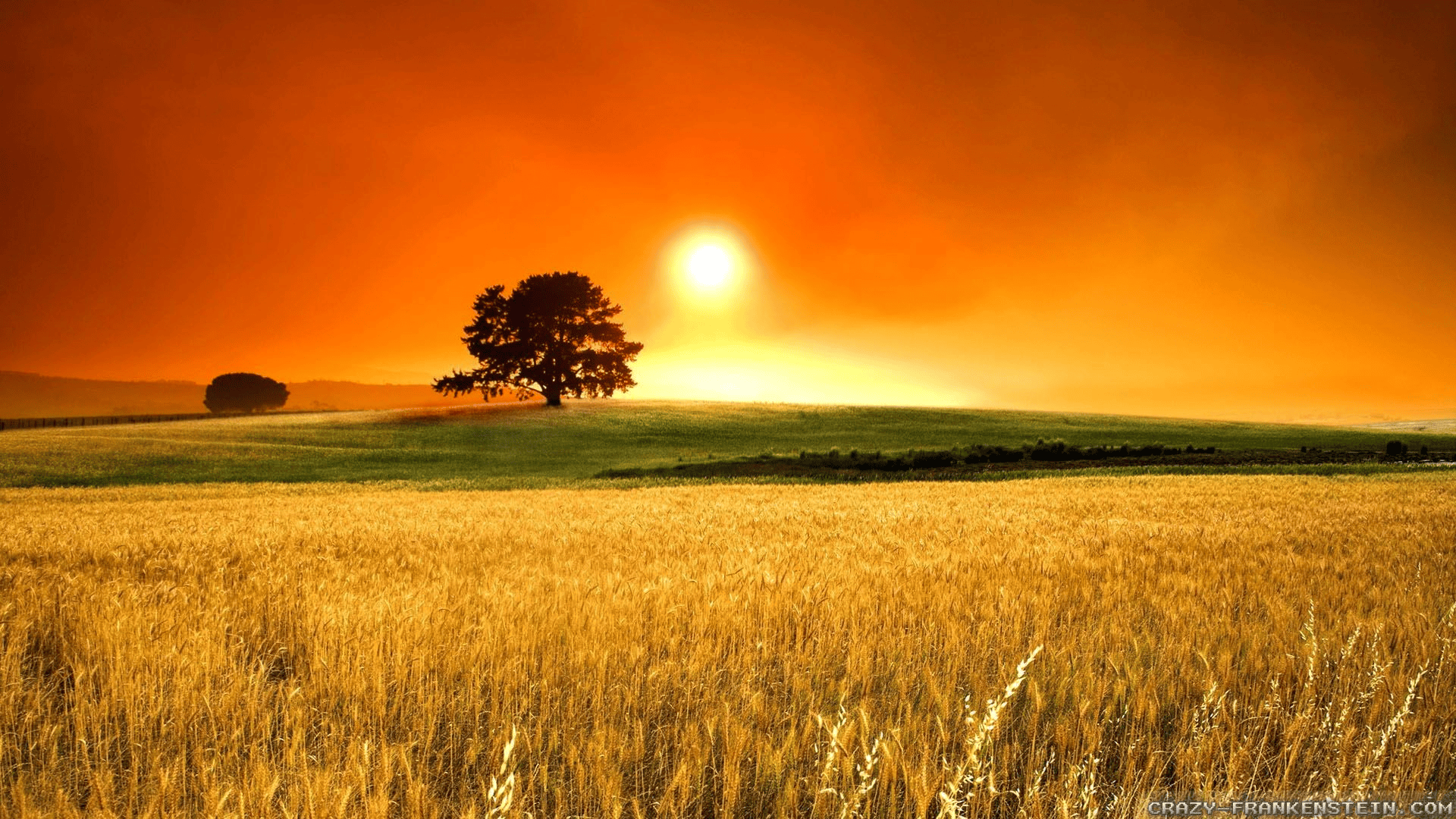 Meteorology needs to search its soul, one lover of weather at a time