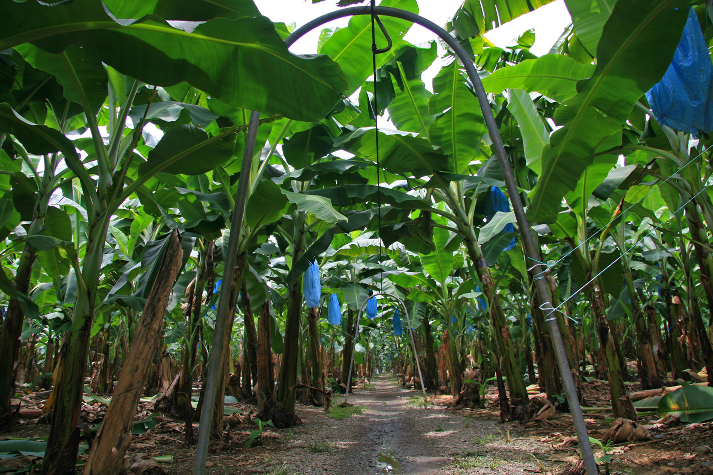 Farms that Create Habitat Key to Food Security and Biodiversity