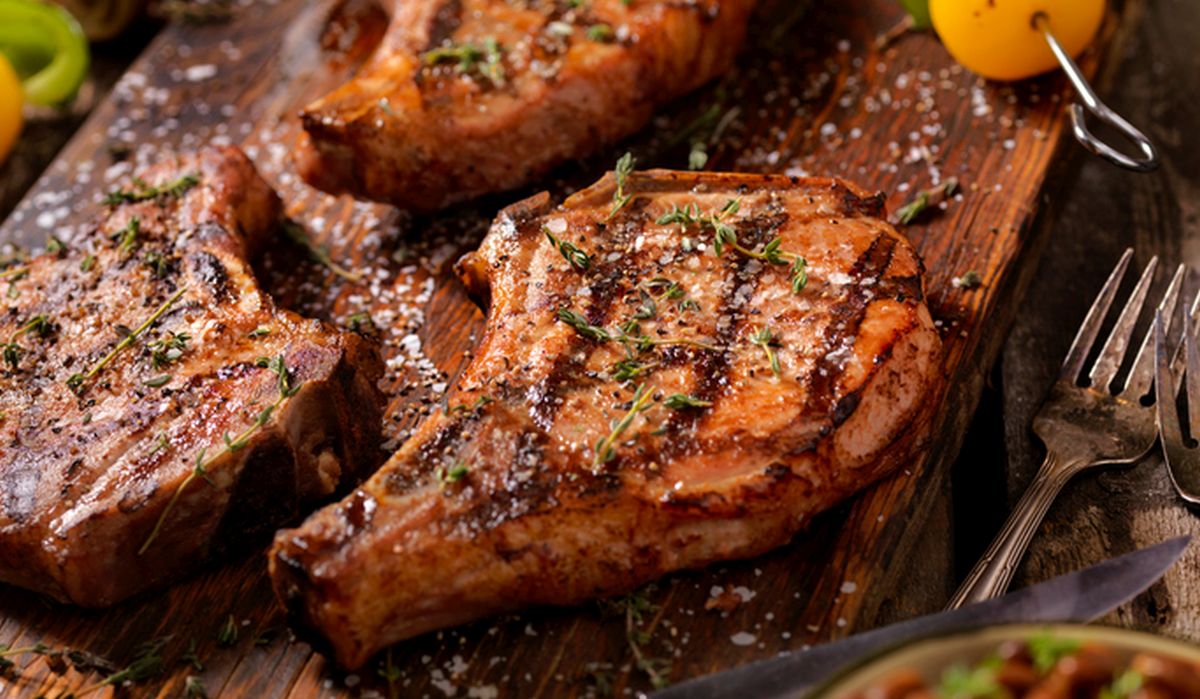 Meat Made Us Human