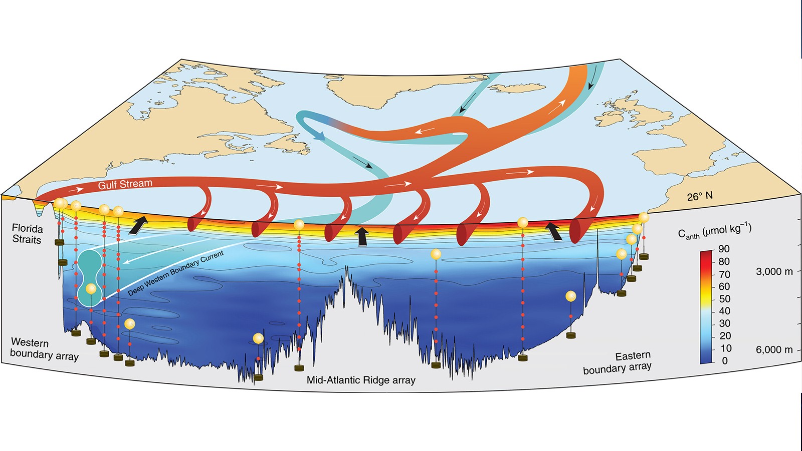 Author Of New Paper: No AMOC Collapse…”Should Dissuade People From Climate Doomism”