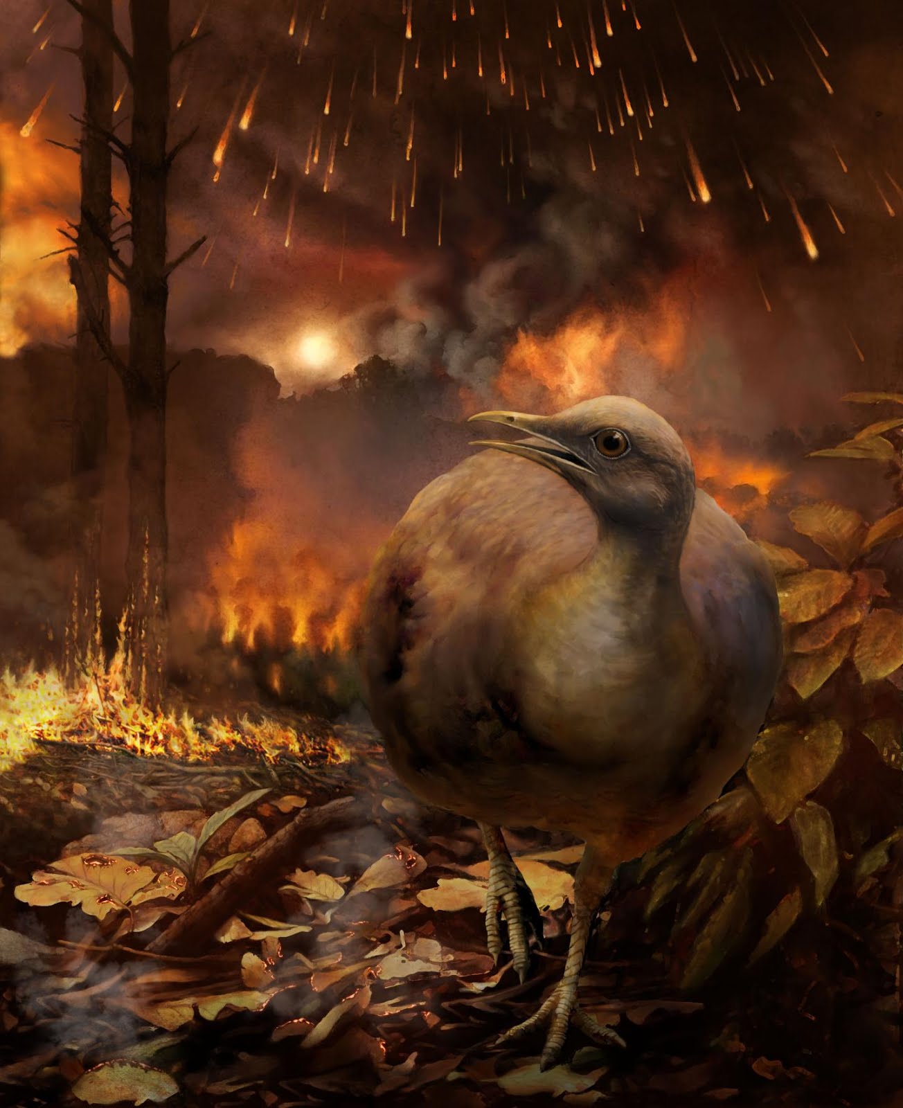 Audubon:  Frightful Fundraising