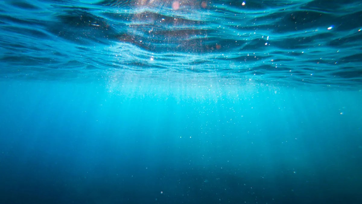 Ocean Cools Further October 2024