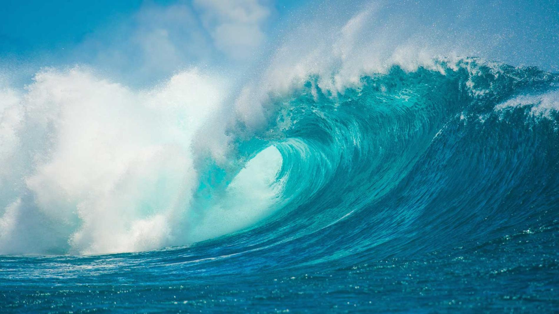 Ocean Remains Cooler November 2024