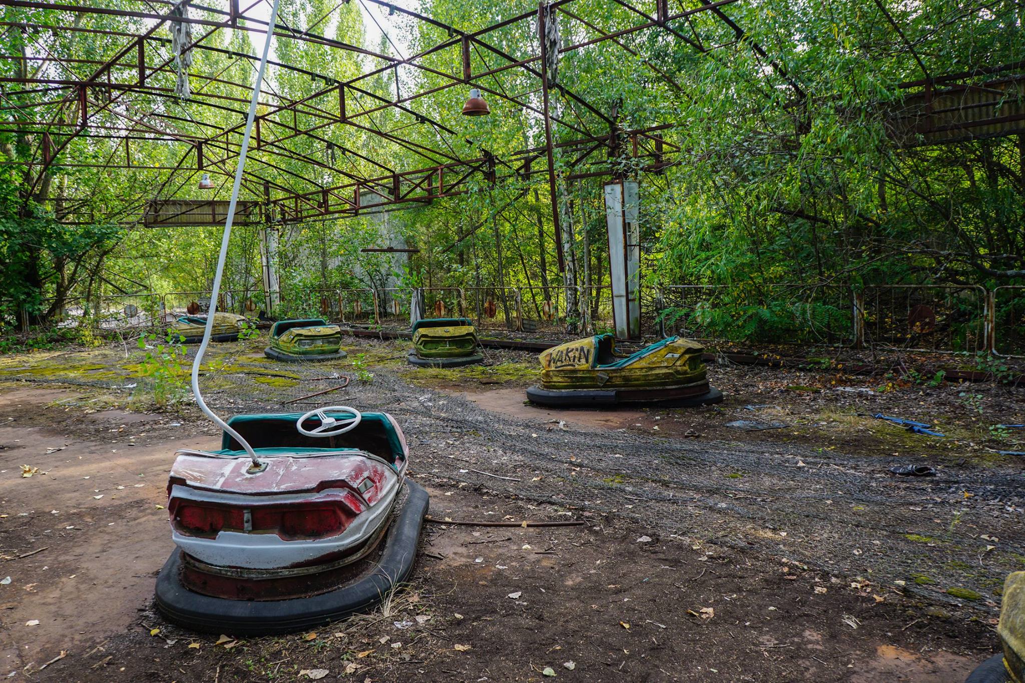 Chernobyl Radiation Cut by 47%: Breakthrough or Overhyped?