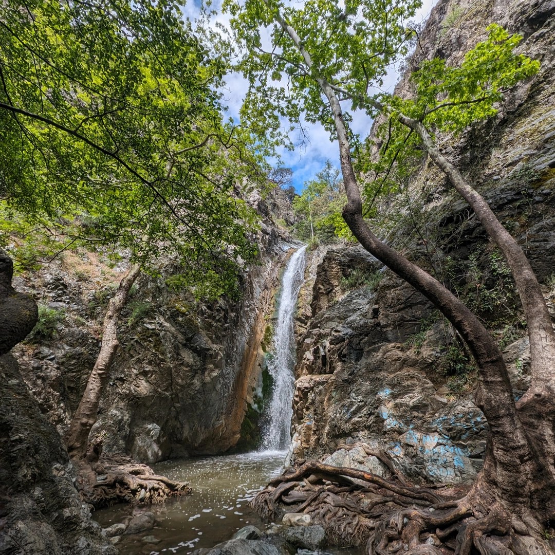 A picturesque waterfall cascades down a rocky cliff surrounded by lush greenery in a tranquil forest setting. The waterfall, set against a backdrop of rugged, moss-covered rocks, drops into a shallow pool of water at its base. Tall trees with broad, green leaves frame the scene, their twisted roots extending across the ground towards the water. The sky is visible through the canopy, with a mix of blue and clouds adding to the serene atmosphere. The overall mood is peaceful and refreshing, capturing the natural beauty of the Troodos mountain region.