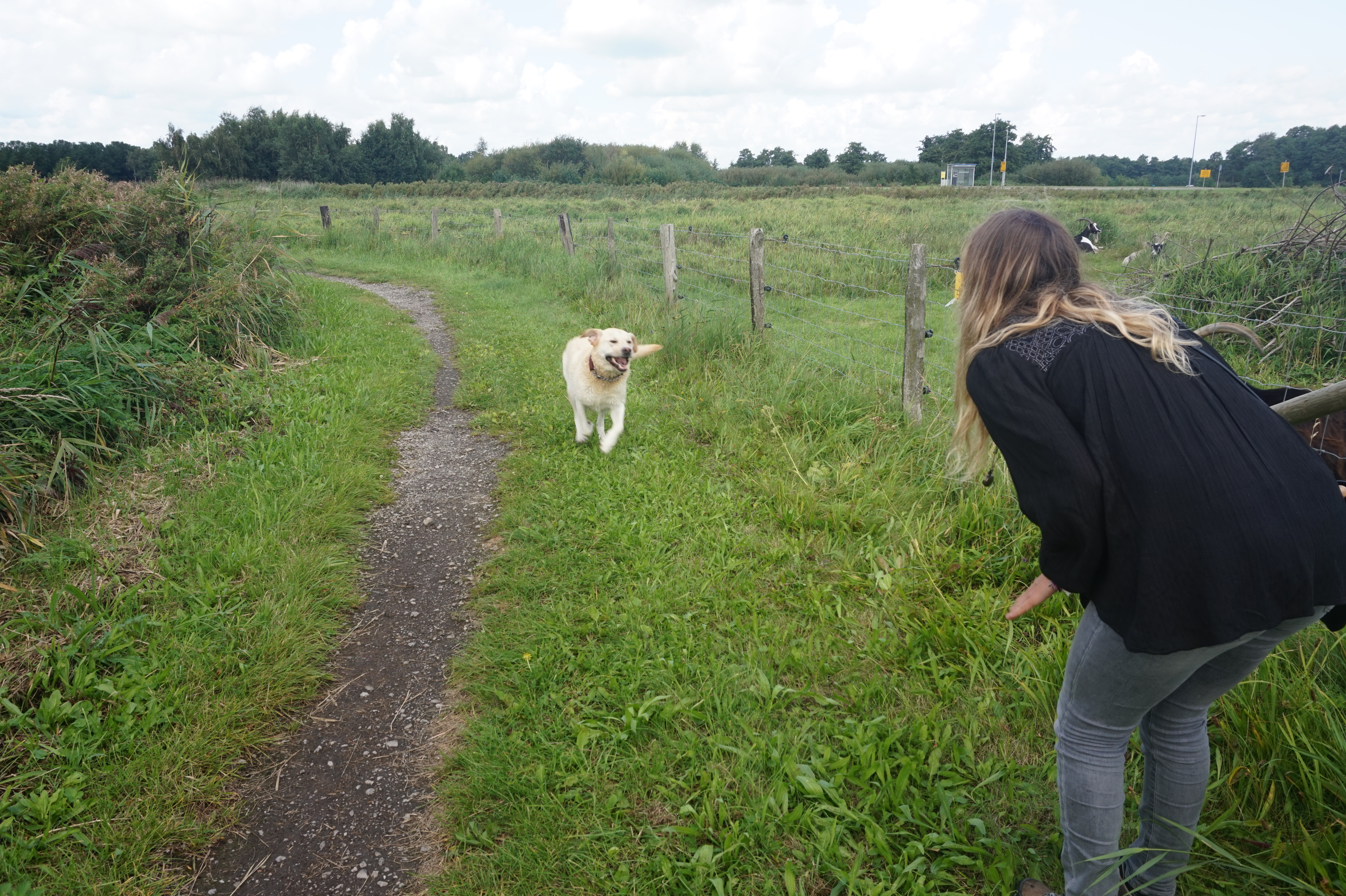 Playing in the fields