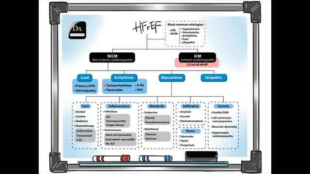 hfref-schema-mp4 – The Clinical Problem Solvers