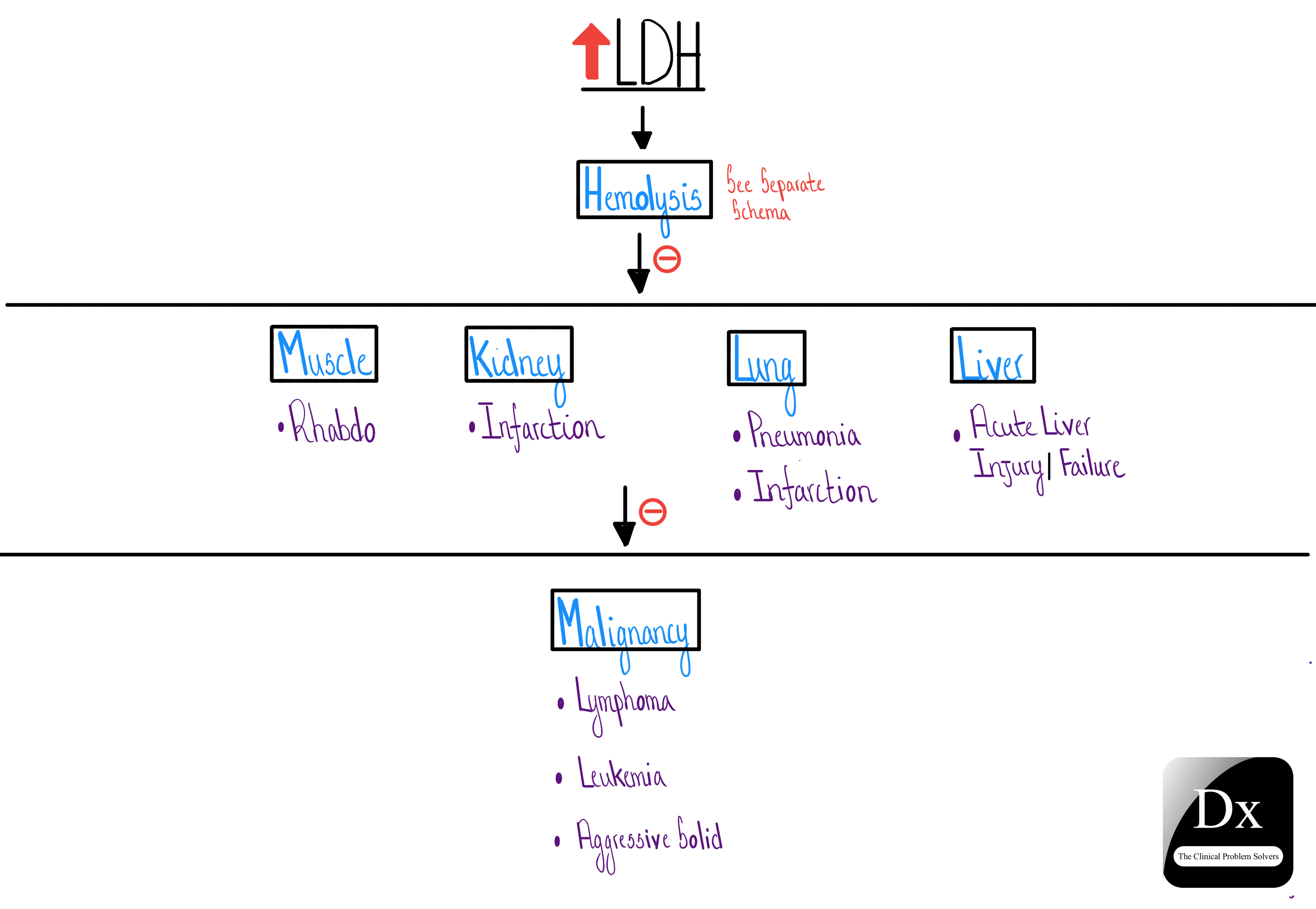 Dx Schema – Lactate Dehydrogenase – LDH – The Clinical Problem Solvers