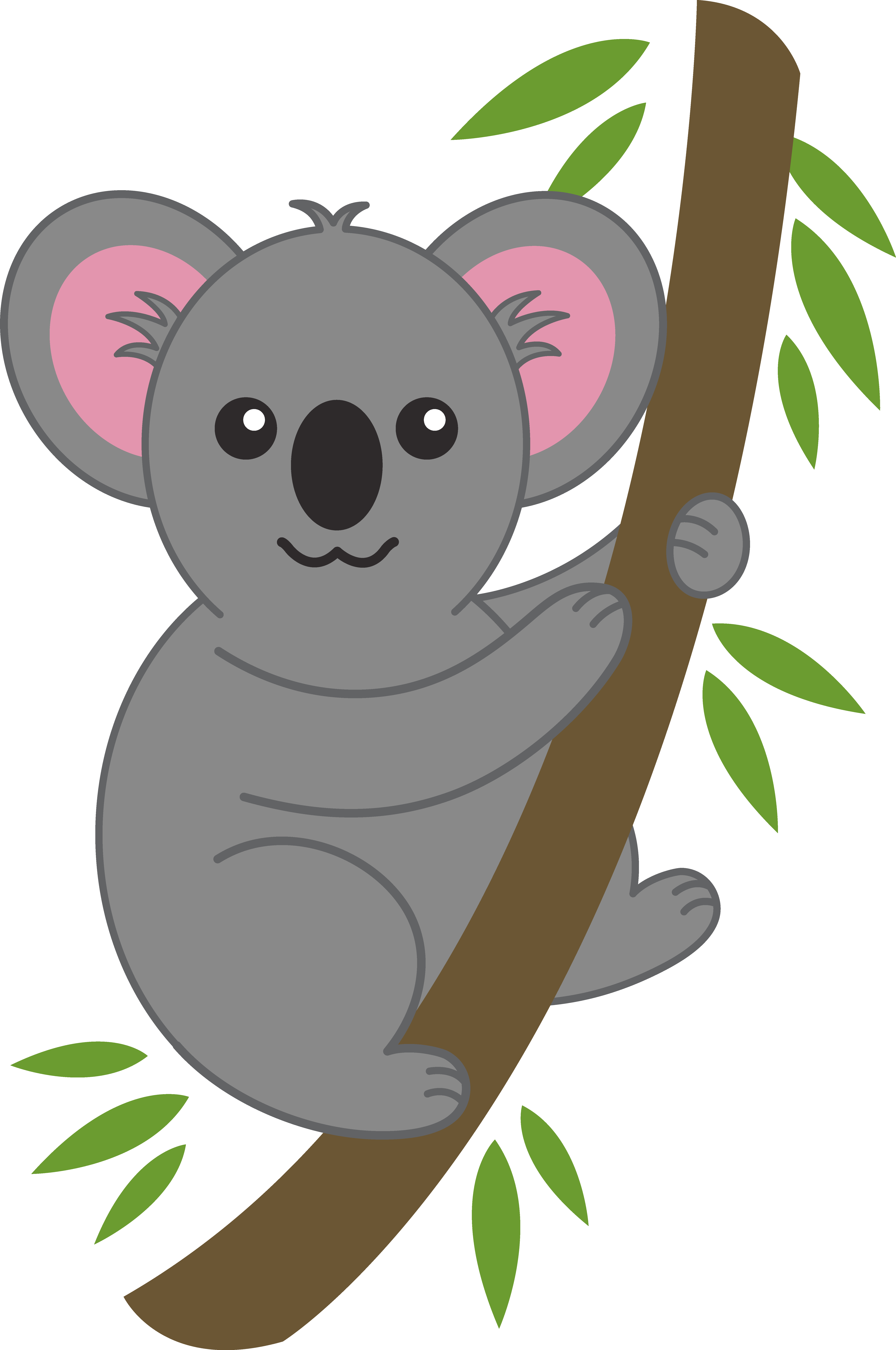 Unlimited download png images without registration. Free Koala Clipart Download Free Koala Clipart Png Images Free Cliparts On Clipart Library