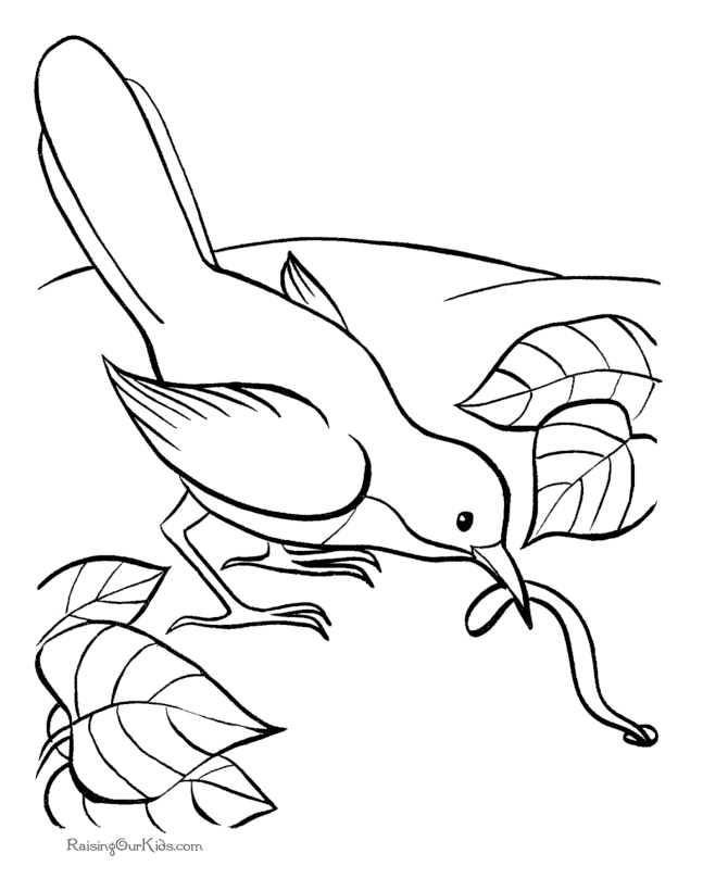 Download and print these bird for preschoolers coloring pages for free. Free Tropical Bird Coloring Pages Download Free Tropical Bird Coloring Pages Png Images Free Cliparts On Clipart Library