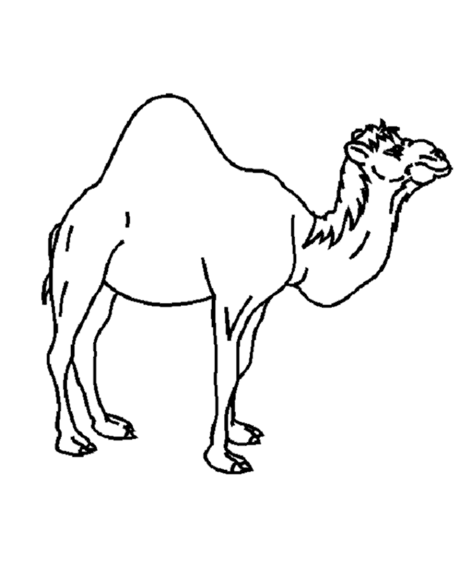 These spring coloring pages are sure to get the kids in the mood for warmer weather. Free Desert Animals Coloring Pages Download Free Desert Animals Coloring Pages Png Images Free Cliparts On Clipart Library