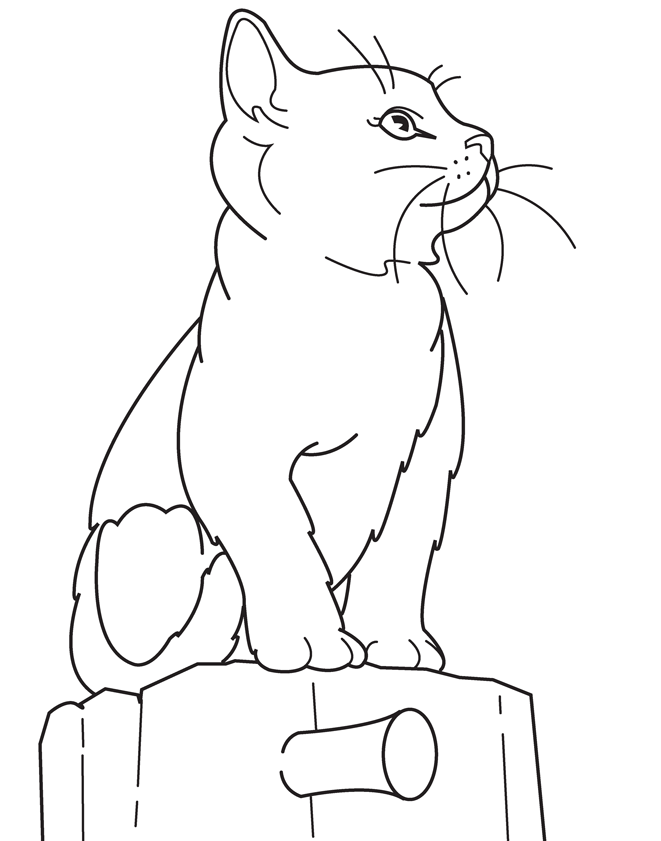Free kitty cat pictures to color, download free kitty cat pictures to