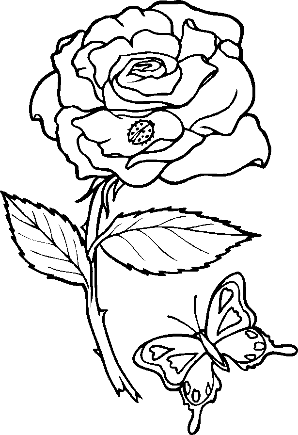 Select from 52554 printable coloring pages of cartoons, animals, nature, bible and many more. Rose Coloring Pages Clip Art Library