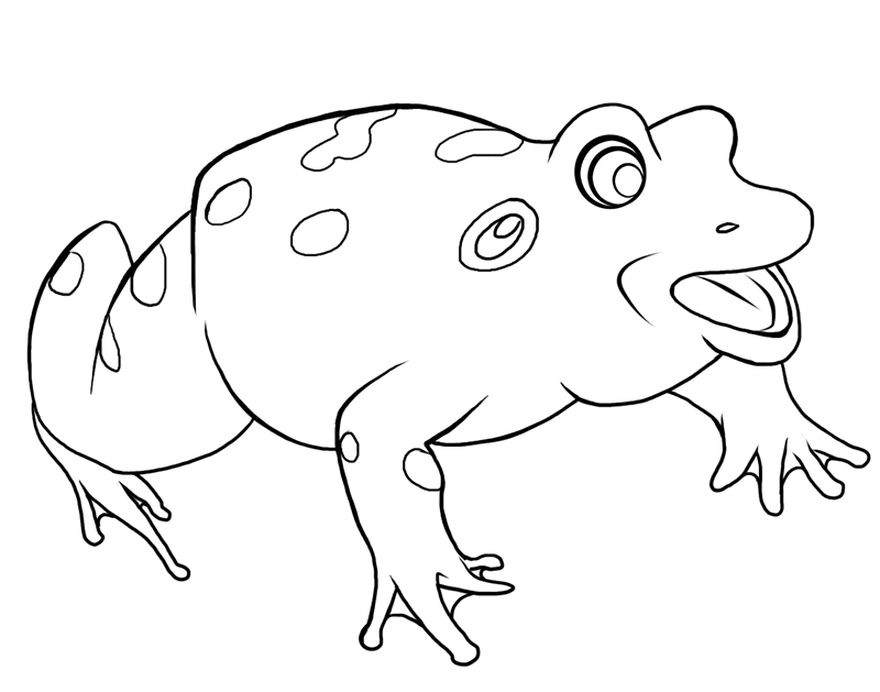 Frog life cycle coloring page coloring pages