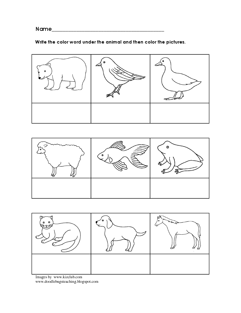 Download this adorable dog printable to delight your child. Free Brown Bear Coloring Page Eric Carle Download Free Brown Bear Coloring Page Eric Carle Png Images Free Cliparts On Clipart Library