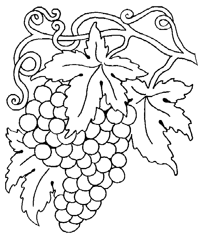 Free grapes coloring page, download free grapes coloring page png