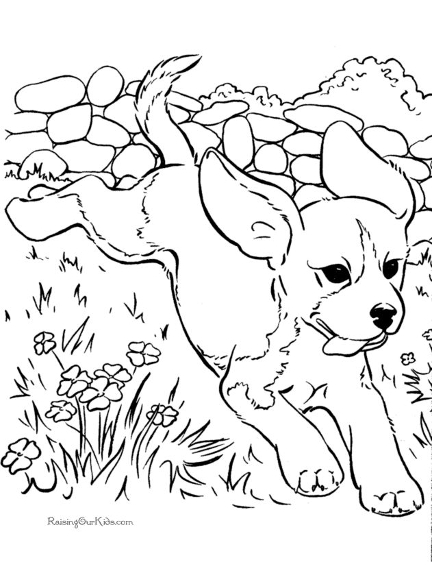 10 Coloring Pages Spot The Dog Ideas