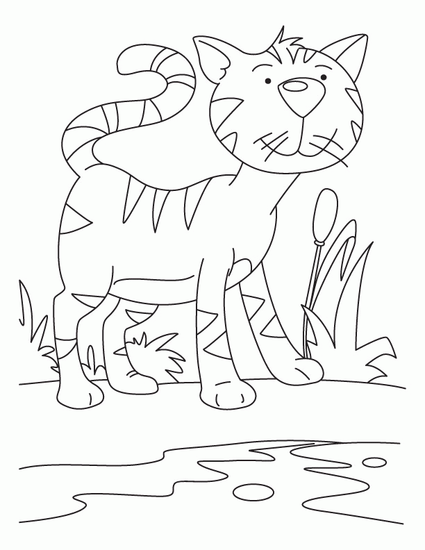 Cat rat coloring page coloring pages