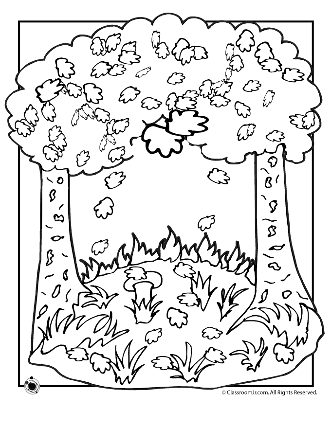 Great for learning about science at school. Free Weather Coloring Sheet Download Free Weather Coloring Sheet Png Images Free Cliparts On Clipart Library