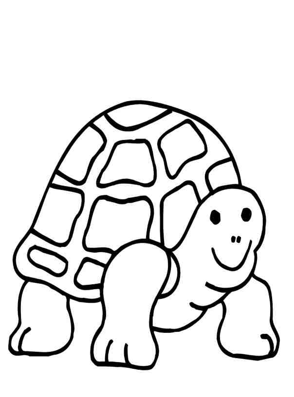 This turtle is managing fine albeit with a little help from his walking cane. Free Coloring Pages Of Turtles Download Free Coloring Pages Of Turtles Png Images Free Cliparts On Clipart Library